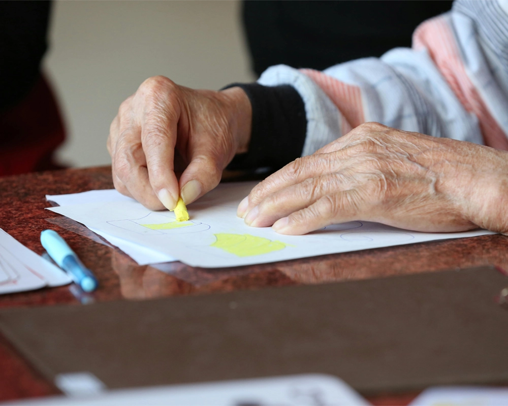 Metàfora prácticas en centros colaboradores